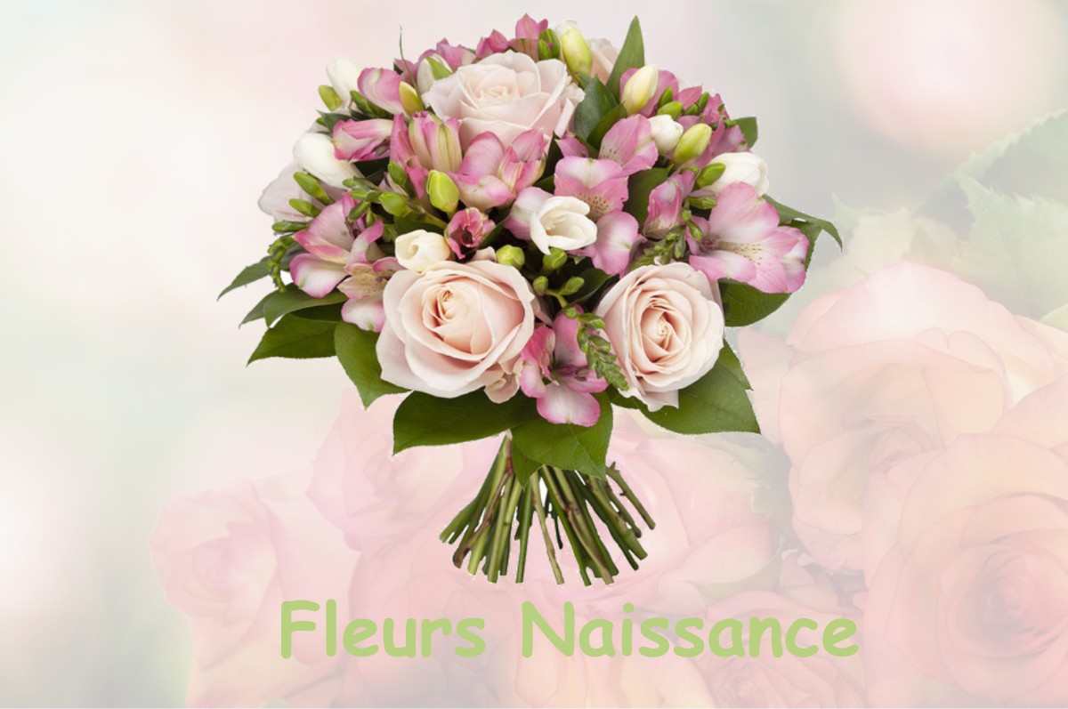 fleurs naissance COLOMIERS