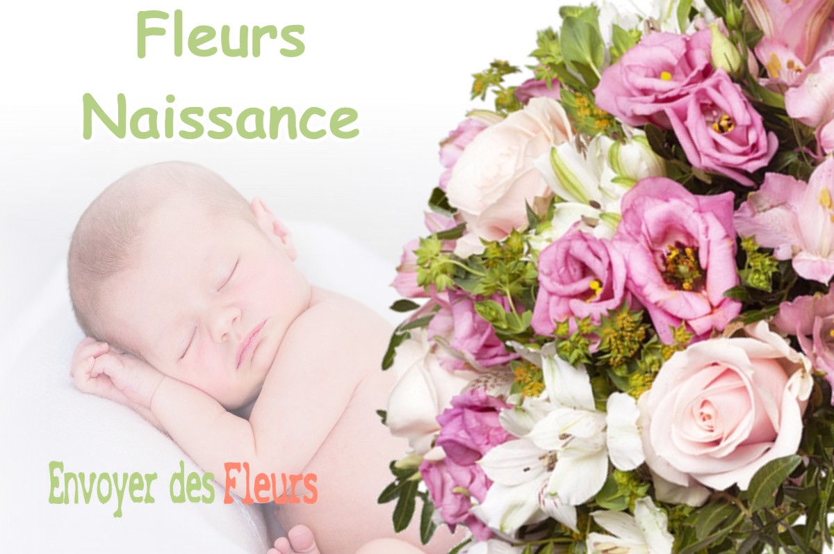 lIVRAISON FLEURS NAISSANCE à COLOMIERS